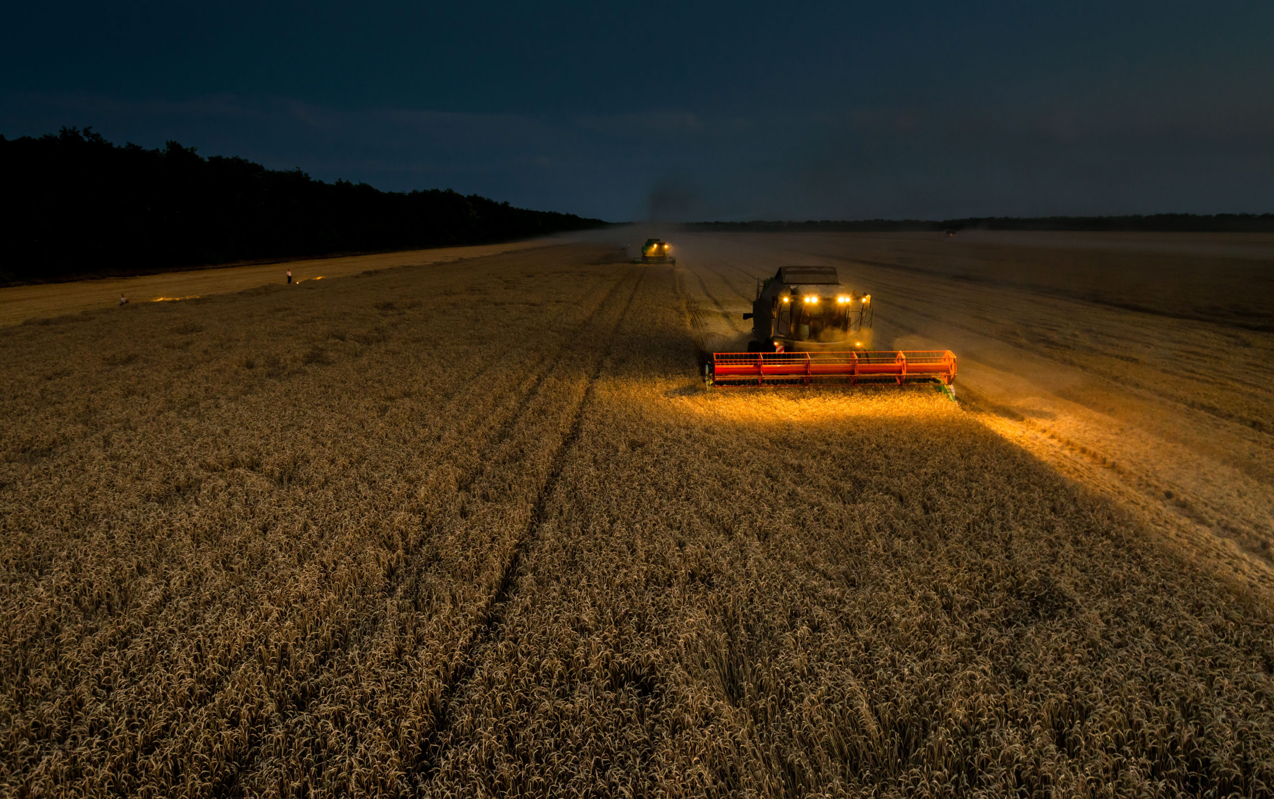 Moisson by night