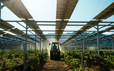 Ingénieur Commercial agrivoltaïsme H/F