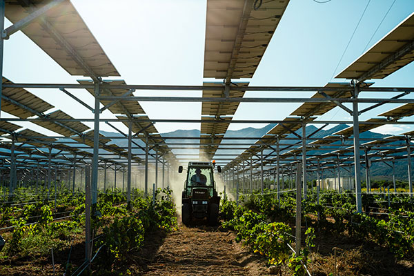 Structure-en-hauteur-agrivoltaisme