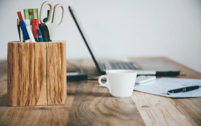 Directeur/ Directrice Général(e) H/F