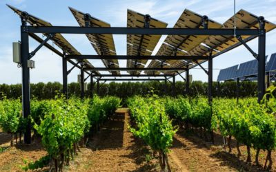 Responsable d’affaires agrivoltaïque et photovoltaïque H/F
