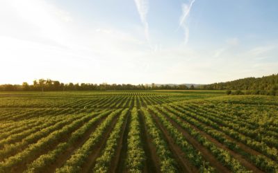 Technicien d&rsquo;expérimentation H/F