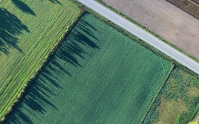 Focus métier : technicien(ne) d&rsquo;expérimentation